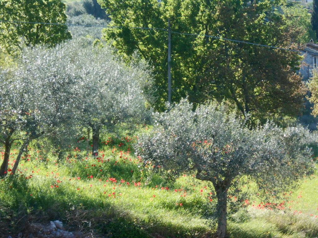 B&B Il Sentiero Di Assisi Exterior foto